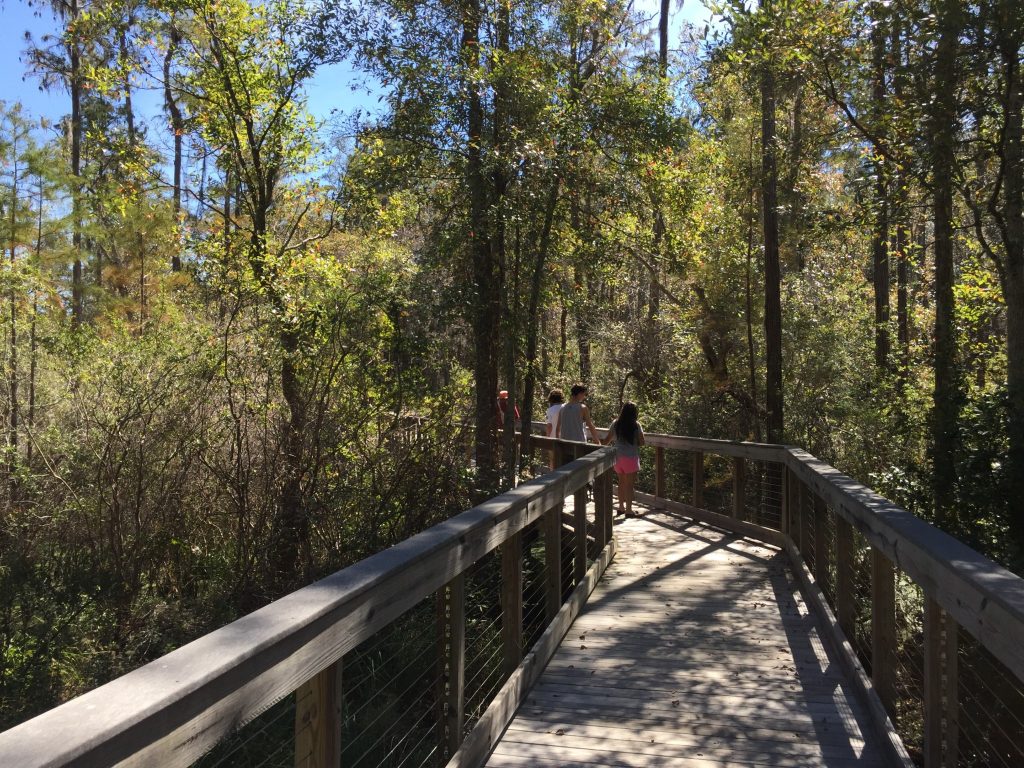 Boardwalk hike at Conservation Park