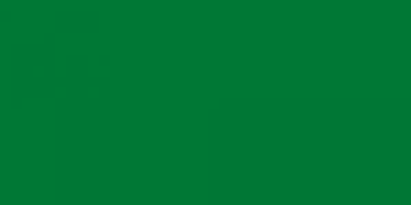 Green Flag Banner BG