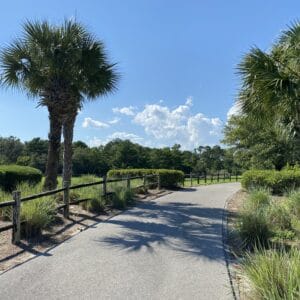 View of Walking Trail at Aaron Bessant Park