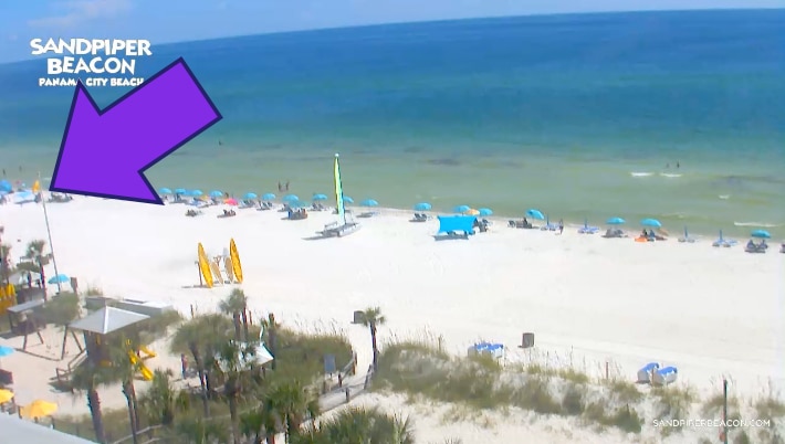 8/20/22 PCB Yellow and Purple beach flag flying in Sandpiper Beacon webcam