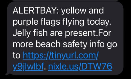 yellow and purple flags text from surf patrol