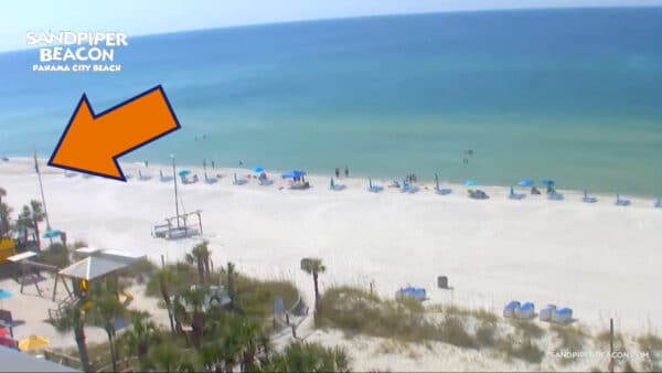 PCB Flags at Sandpiper Beacon are yellow and purple today September 26, 2022