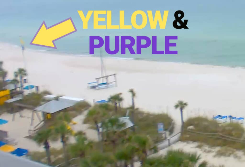 Yellow-and-Purple-Flag-at-Sandpiper-Beacon-Resort