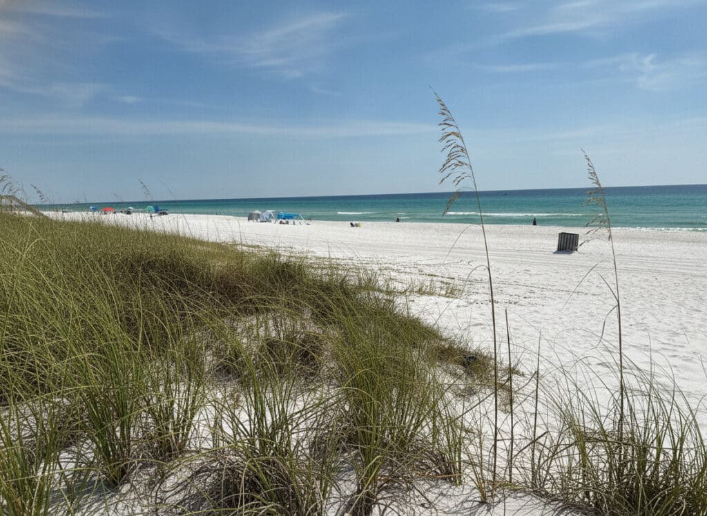 Sea oats on sand dunes overlooking the emerald Gulf on a clear sunny day in Panama City Beach, FL on Oct 21, 2026.